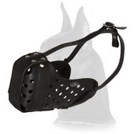 Attack/Agitation Leather Muzzle for Great Dane