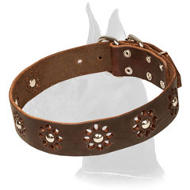 "Flower Blues" Punched Leather Collar for Great Dane Walking in Style