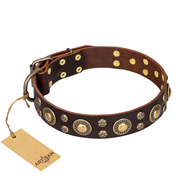 'Flower Melody' FDT Artisan Brown Leather Dog Collar with Mixed Studs for Great Dane Walking