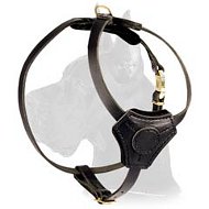 Top notch Leather Harness for Great Dane puppy