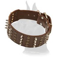 Wide Spiked and Studded Leather Collar for Great Dane
