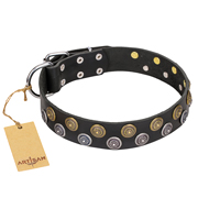 "Romantic Breeze" FDT Artisan Black Leather Great Dane Collar with Riveted Circles