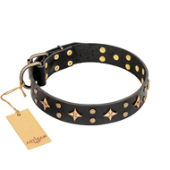 'A La Mode' FDT Artisan Handcrafted Black Leather Great Dane Collar