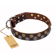 'Strong Shields' FDT Artisan Brown Leather Great Dane Collar with Mix of Brass and Chrome Plated Studs