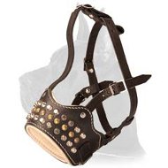 Royal Pyramids and Studs Leather Muzzle for Great Dane