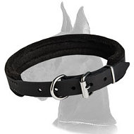 Amazing Training Leather Collar for Great Dane