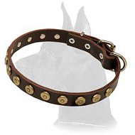 Gorgeous Leather Collar with Doted Circles for Great Dane