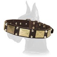 Wide Leather Collar with Nickel Pyramids for Great Dane