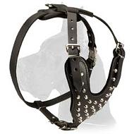 Leather Harness with Pyramids for Great Dane