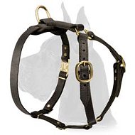 Luxury Handcrafted Leather Harness for Great Dane