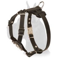 Great Dane Puppy Genuine Leather Dog Harness with Cones for Puppies