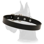 Classy Leather Collar for Great Dane