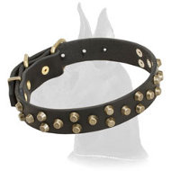 Leather Great Dane Collar with Attractive Design