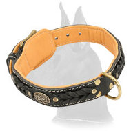 Decorated Leather Great Dane Collar for Basic Training