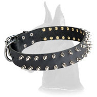 Leather Spiked Great Dane Collar