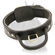 2 ply Leather Great Dane Collar with Handle for Training