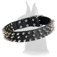 Quality Spiked Leather Dog Collar for Great Dane