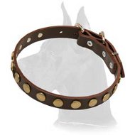 Leather Collar With Circles for Great Dane