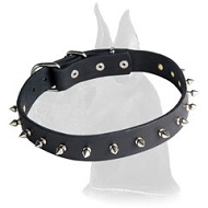 Leather Spiked Great Dane Collar