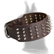 3 Inch Leather Spiked Collar for Great Dane