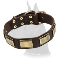 Great Dane Handcrafted Leather Dog Collar With Vintage Massive Plates