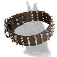 2 inch wide Leather Spiked Dog Collar for Great Dane