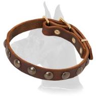 Handcrafted Great Dane Leather Collar with Luxurious Decorations
