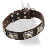 Dog Collar with Nickel Plated Hardware for Great Dane