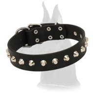 Fashionable Leather Dog Collar with Nickel Spikes for Great Dane