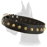 Leather Collar with Gold-like Pyramids for Great Dane