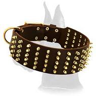 Marvellous Leather Spiked Collar for Great Dane
