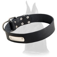 Simple Design Leather Collar with id tag for Great Dane