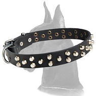 Original Leather Collar with pyramids for Great Dane