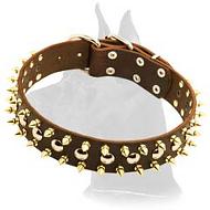 Leather Collar with Spikes and Studs for Great Dane