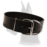 Extra Wide Leather Collar for Great Dane
