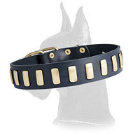 Gorgeous Wide Leather Collar with plates for Great Dane