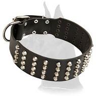 Extra Wide Leather Collar with pyramids for Great Dane