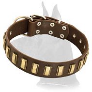 Shining Leather Collar with brass plates
