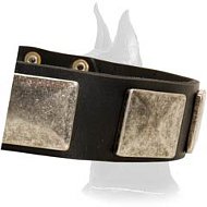 Leather Collar with Vintage Massive Plates for Great Dane