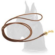Deluxe Round Leather Leash for Great Dane
