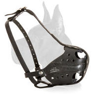 Agitation Training Great Dane Muzzle