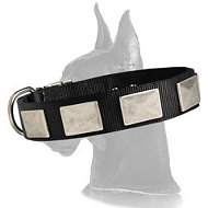 Nylon Collar with Vintage Nickel Plates for Great Dane