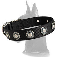 Nylon Collar with silver circles for Great Dane