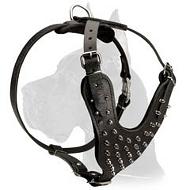 Perfect Spiked Leather Harness for Great Dane