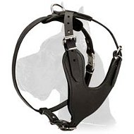 Heavy Duty Leather Harness for Great Dane