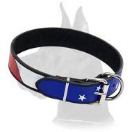 American Flag Collar for Great Dane