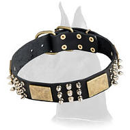 Leather Great Dane Collar with plates, spikes and pyramids