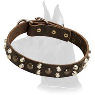 Leather Collar with Studs and Pyramids for Great Dane