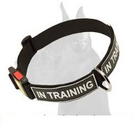 Nylon Collar with Patches and Quick Release Buckle for Great Dane