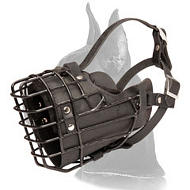 Large Wire Basket Great Dane Muzzle for winter